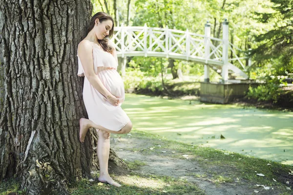 Jeune belle femme enceinte aux cheveux longs — Photo