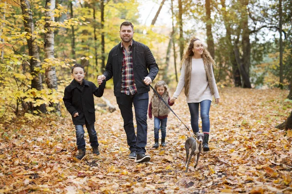 Vierköpfige Familie genießt goldenes Laub im Herbstpark — Stockfoto