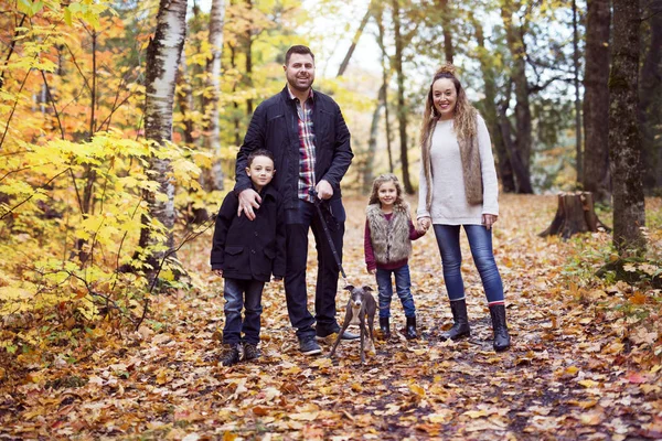 四个享受金色的叶子在秋天的公园中的家庭 — 图库照片