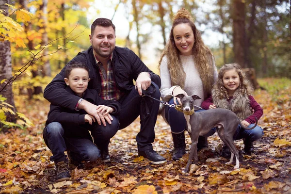 Family of four enjoying golden leaves in autumn park — Stock Photo, Image