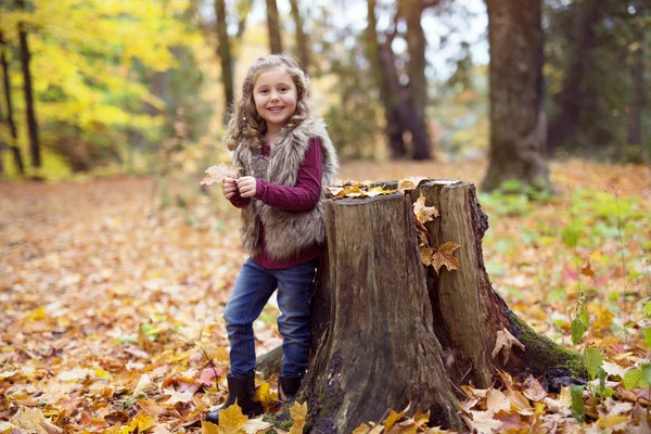 Adorable petite fille dans une forêt d'automne — Photo