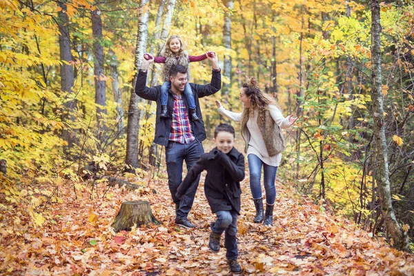 Rodzina czterech korzystających złotych liści w parku jesień — Zdjęcie stockowe