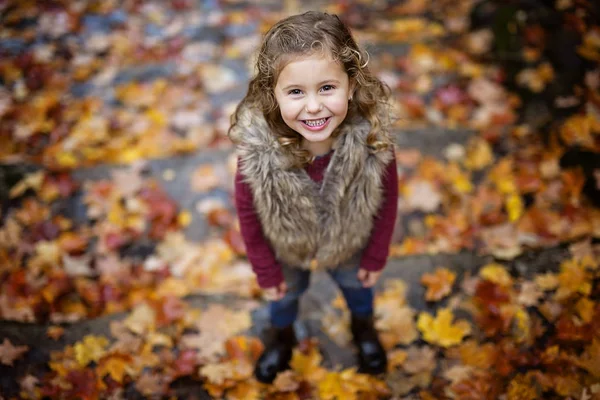Bedårande liten flicka i en höst skog — Stockfoto
