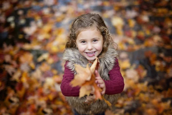Bedårande liten flicka i en höst skog — Stockfoto