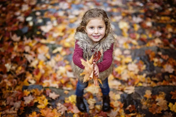 Adorabile bambina in una foresta autunnale — Foto Stock