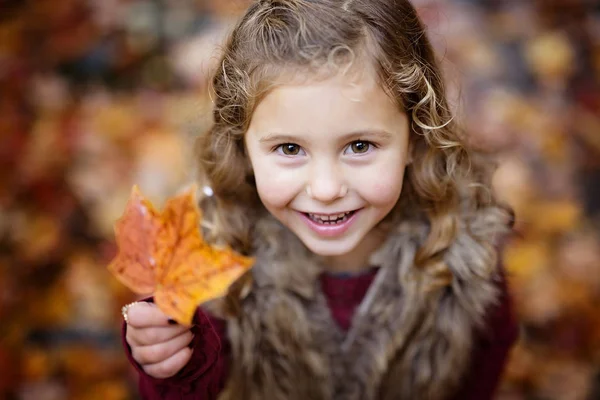 秋の森のかわいい女の子 — ストック写真