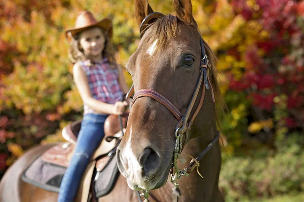 Φθινόπωρο σεζόν νεαρό κορίτσι και το άλογο — Φωτογραφία Αρχείου