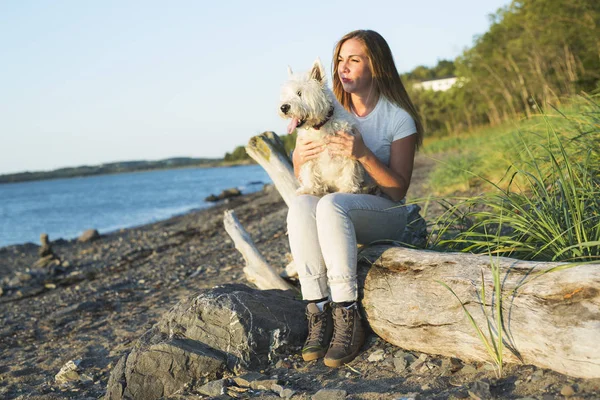 Portret psów West Highland piękne dziewczyna ładny biały — Zdjęcie stockowe