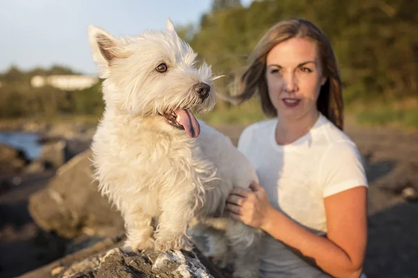Πορτρέτο του όμορφη κοπέλα αρκετά λευκά West Highland σκύλου — Φωτογραφία Αρχείου
