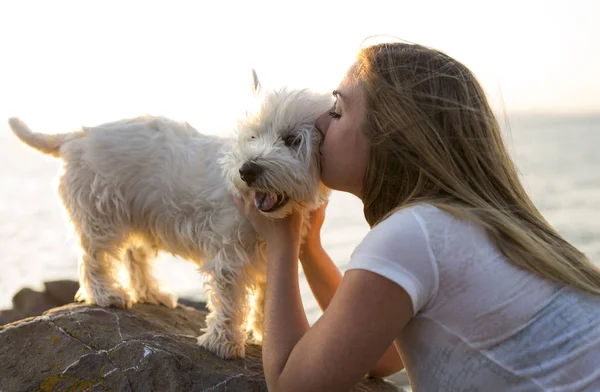 Gyönyörű lány szép fehér West Highland kutya portréja — Stock Fotó