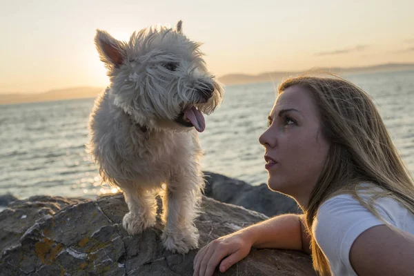 Πορτρέτο του όμορφη κοπέλα αρκετά λευκά West Highland σκύλου — Φωτογραφία Αρχείου