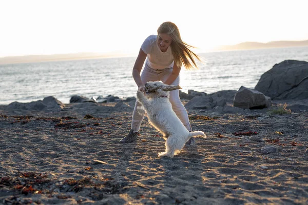 Güzel kız güzel beyaz Batı Highland köpek portresi — Stok fotoğraf