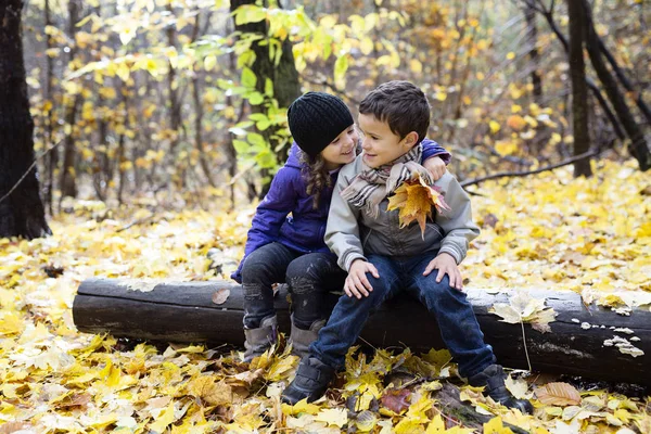 Kinder spielen im schönen Herbstpark an einem kalten, sonnigen Herbsttag. — Stockfoto