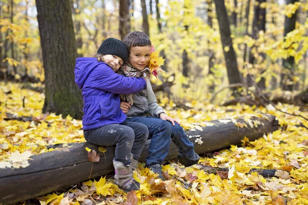 Kinder spielen im schönen Herbstpark an einem kalten, sonnigen Herbsttag. — Stockfoto