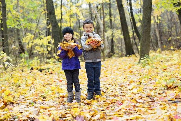 Glückliche Kinder spielen im wunderschönen Herbstpark — Stockfoto