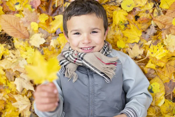 Zes jaar oud kind herfst seizoen in een park — Stockfoto