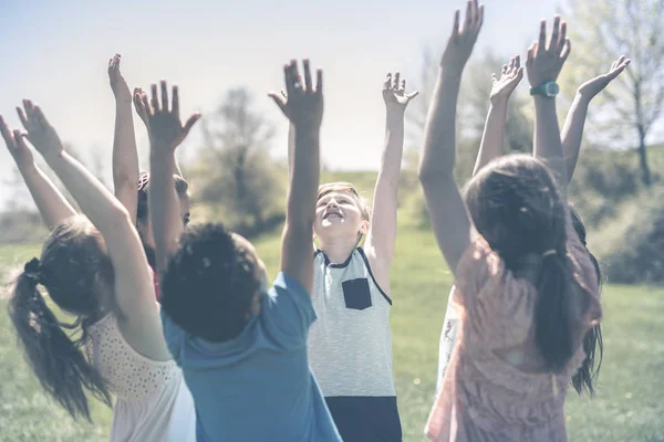 Gruppo di bambini divertirsi su un campo mano alta — Foto Stock