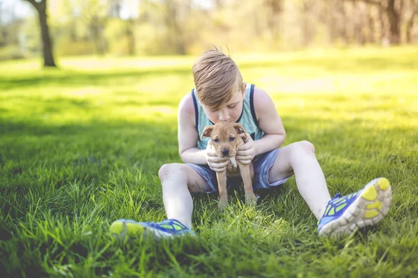 Söt, ung pojke i trädgården håller en boxer hund — Stockfoto