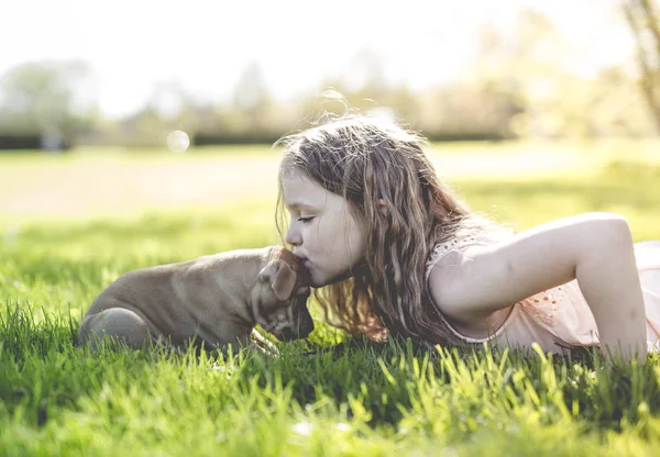 Söt liten flicka håller hennes roliga boxer hund — Stockfoto