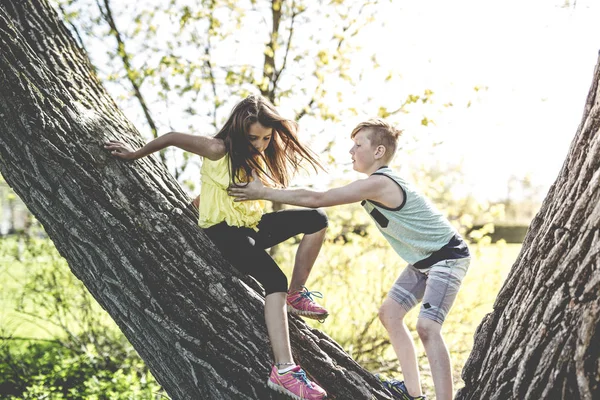Porträt eines Mädchens auf einem Baum mit seinem Freund — Stockfoto