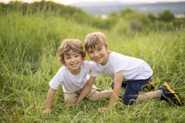 Bruder spielt gemeinsam auf einer grünen Wiese — Stockfoto