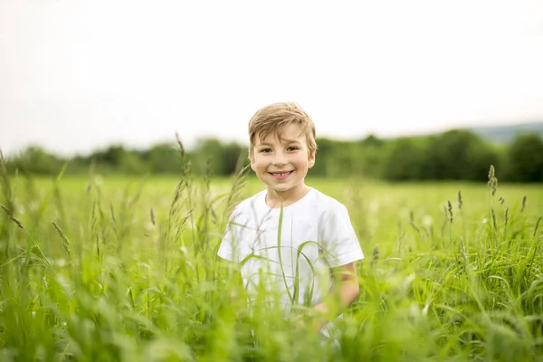 Niño feliz en el prado — Foto de Stock