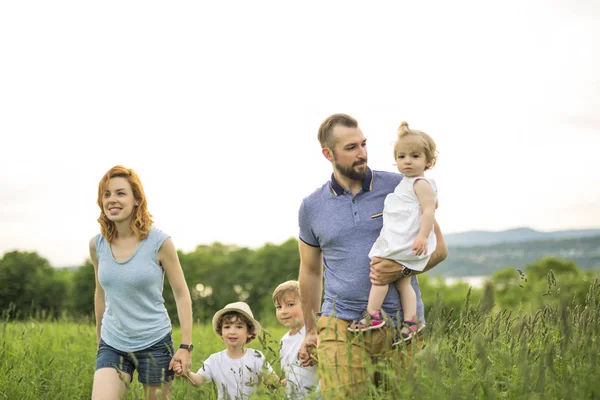 Lycklig familj på ängen — Stockfoto