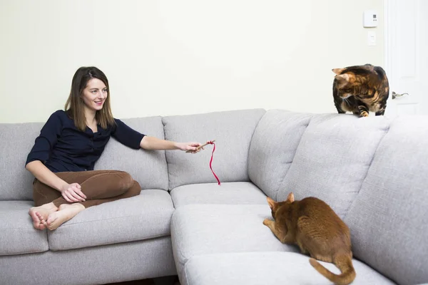 Gatos e mulher na sala de estar no sofá — Fotografia de Stock