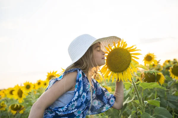 Happy girl on a field of sunflowers on summer sunset — Stock Photo, Image