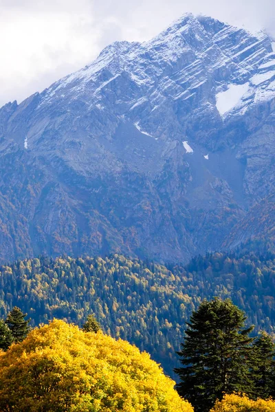 Autumn in mountains — Stock Photo, Image