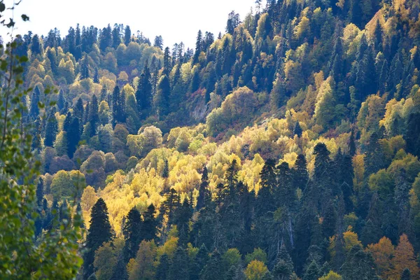 Autumn in mountains