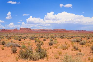 Tanrılar görünümü Vadisi