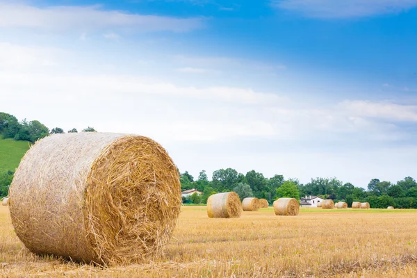 Панорама італійської сільській місцевості. Круглих тюків на пшенична сфера — стокове фото