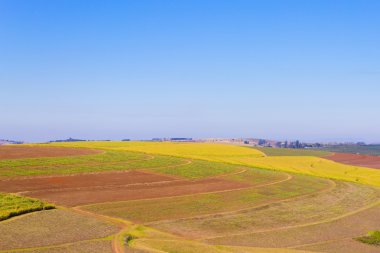 Bir görünümünü bin tepeler Durban, Güney Afrika yakınındaki Vadisi