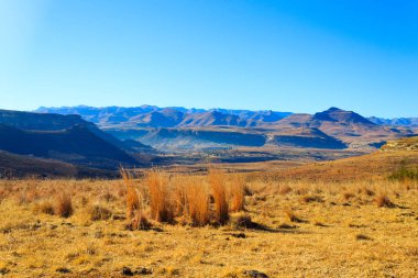 Orange Free State panorama, Güney Afrika