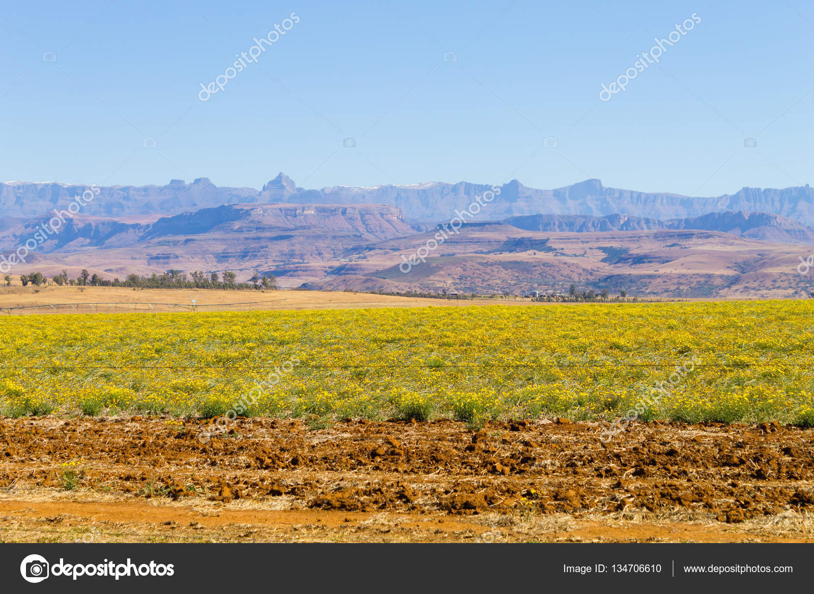 南アフリカ共和国 ドラゴンの山からの風景します ストック写真 C Elleonzebon