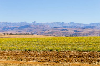 Güney Afrika, ejderhanın dağlar manzara