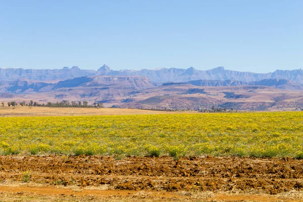Landscape from South Africa, Dragon's mountains — Stock Photo, Image