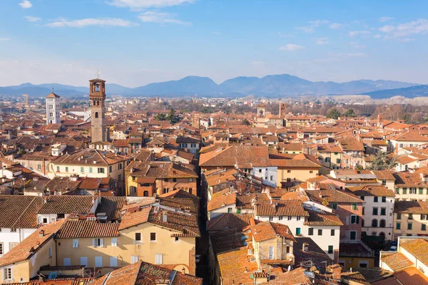 Vista Lucca da Torre Guinigi . — Fotografia de Stock