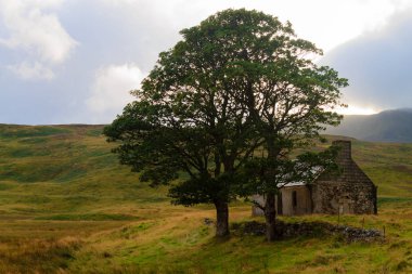 İskoç yol yalak kırsal