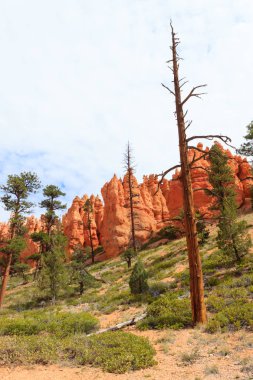 Panorama: Bryce Canyon Milli Parkı, Usa