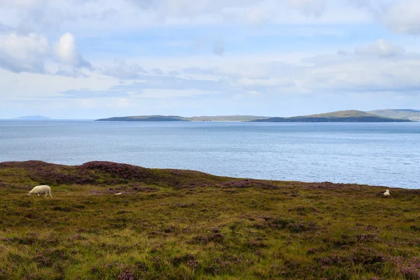 Panorama rural escocés — Foto de Stock