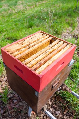 Açık kovan, arıcılık