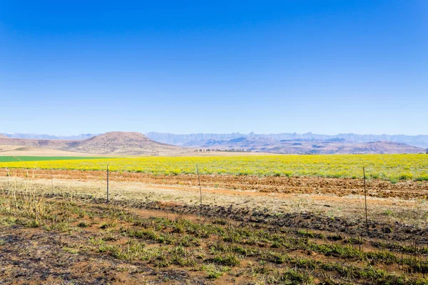 Güney Afrika, ejderhanın dağlar manzara
