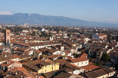 Lucca görünümü Guinigi Tower.