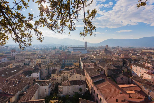 Vista Lucca da Torre Guinigi . — Fotografia de Stock