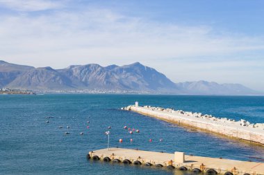 Hermanus plaj manzarası, Güney Afrika