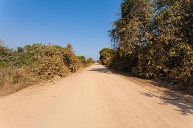 Brezilyalı toprak yol perspektif içinde