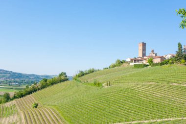 Barbaresco Oda, Langhe, İtalya