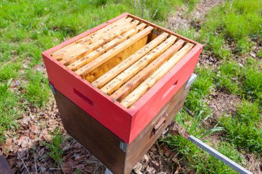 Açık kovan, arıcılık